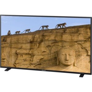 PVM-X550-600x600